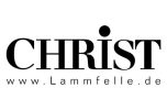 christ-500
